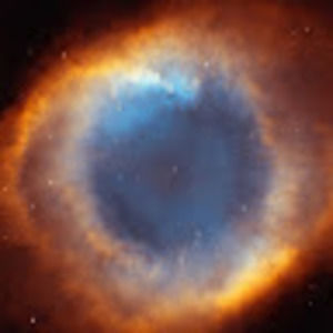 Meet your Posher, Everett